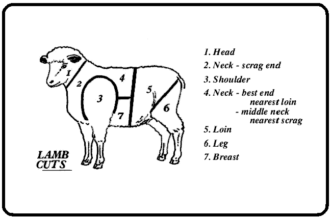 John Nolan - Welsh Lamb - Revised 10Sep00.